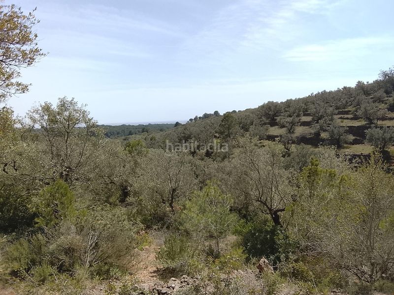 Foto b0f71290-45b0-4639-846e-d5592db66383. Finca rústica a Aldea (L´)