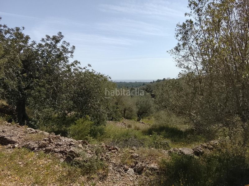 Foto d830bdd5-5e1a-444b-a4fa-3d92ec60ae85. Finca rústica a Aldea (L´)