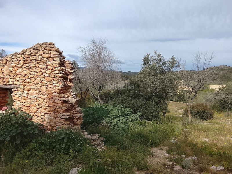 Foto 0ca15858-cd91-4a0d-8a2b-9544a6c5e68b. Masia a Tivissa