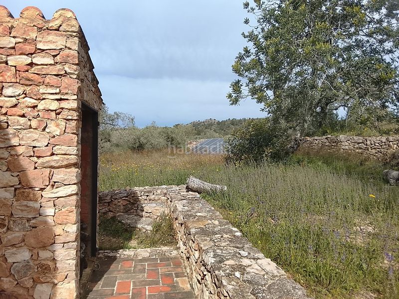 Foto 138cce8f-9aef-40f9-8e44-49f49a427db9. Masia a Tivissa