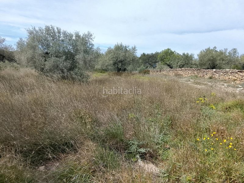 Foto 3746ebb2-3b82-4761-aca5-cf10c12ff530. Masia a Tivissa