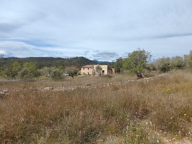 Foto 3ce46d91-213b-4ab3-8a1b-02092694dfc8. Masia a Tivissa