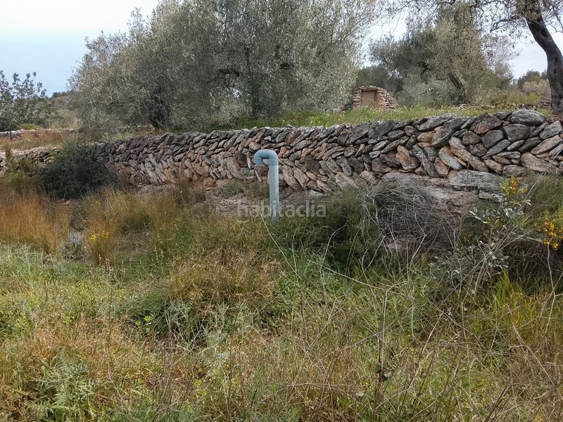 Foto 425cd85e-4976-421e-bf3a-60c2f2d5ac1d. Masia a Tivissa