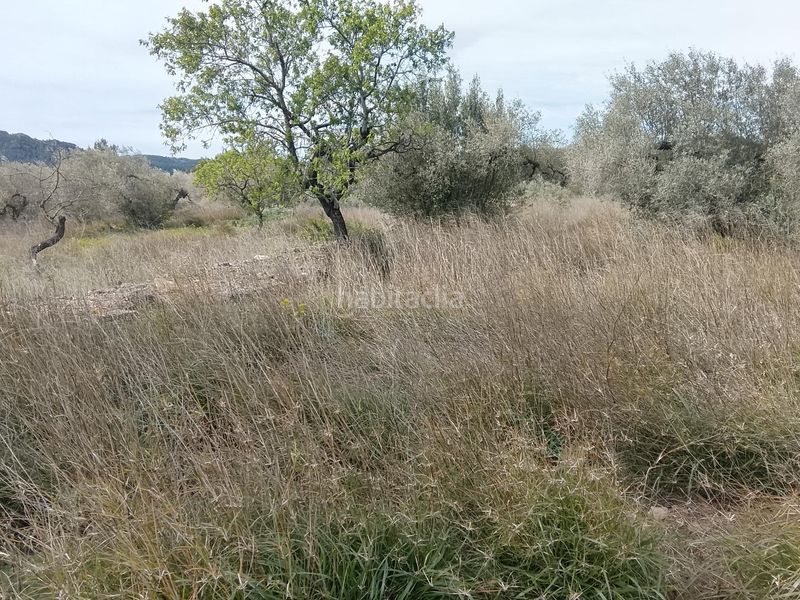 Foto 4b8b28be-e6cd-41c8-ac58-5ffe9a2b7898. Masia a Tivissa