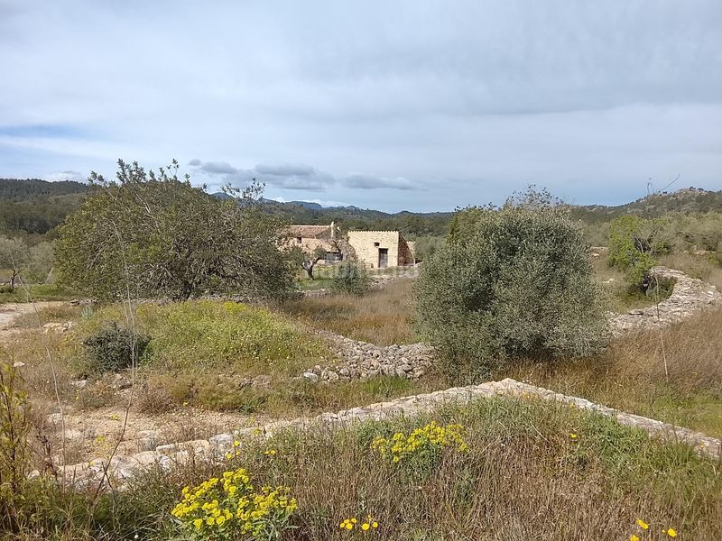 Foto 6e6408f9-4b9b-4fad-8335-9d481a244353. Masia a Tivissa