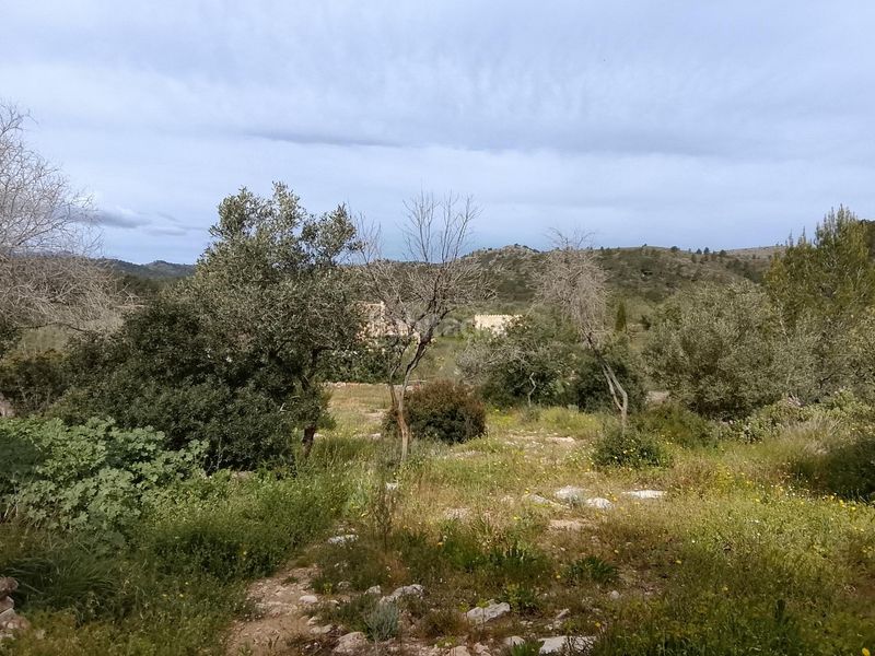 Foto 8778d7de-6aee-4815-bb03-cba564d9e579. Masia a Tivissa