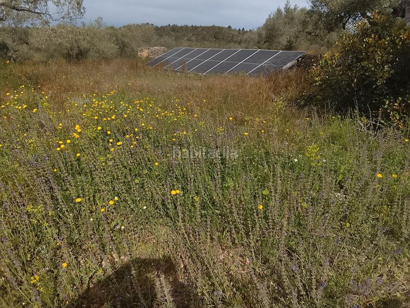 Foto 953b8048-9249-4ca4-8ef1-c45e4cbfd453. Masia a Tivissa