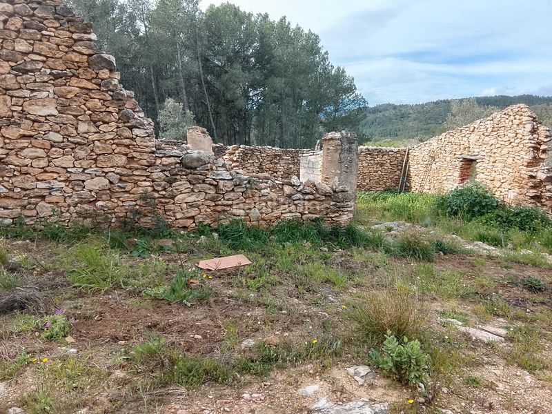 Foto a09d63e2-eff3-4f96-9186-1605e395dfc2. Masia a Tivissa