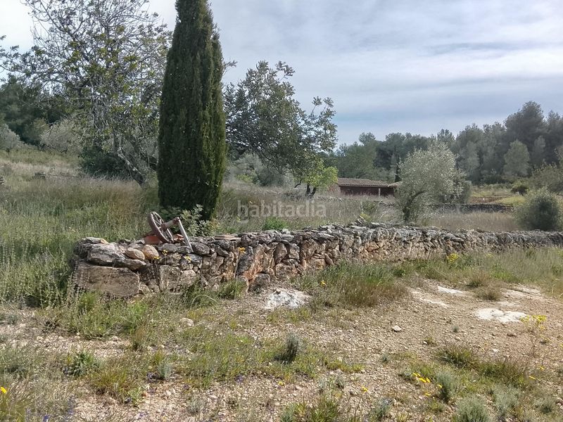 Foto e1fee31a-dfea-480b-9927-0288c5f8d722. Masia a Tivissa