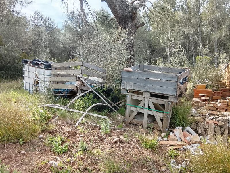 Foto ebd9e820-7908-4128-9051-ecfc93817a44. Masia a Tivissa