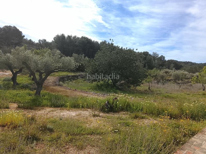 Foto f2531f47-fbe0-474a-93e2-c415a3a7e287. Masia a Tivissa