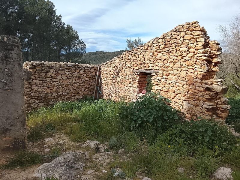 Foto f75eb7d7-f42c-4d7d-9d1f-6c915734176c. Masia a Tivissa