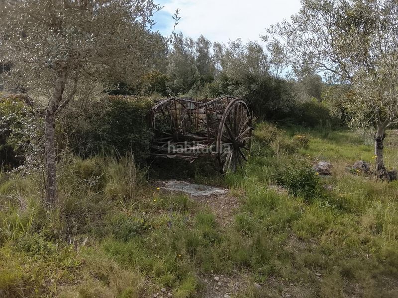 Foto f8ccf00e-7ab8-48d9-84fb-478ee9e98cf6. Masia a Tivissa