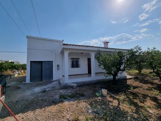 Masia  Plaza del polígono. Finca rústica con producción de naranjas en vinarós  oportunidad