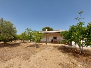 Masia a Roques Daurades-L´Estany. Refugio idílico en el corazón del campo mediterráneo por 450,000