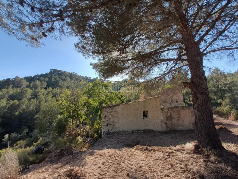 Foto 0f59ea18-d670-43aa-bdc8-7ef2613f1df3. Masia a Tivissa
