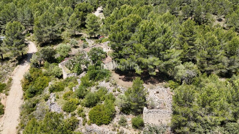 Foto b7a04703-f69d-470b-b3c8-57af09b41a76. Masia a Tivissa