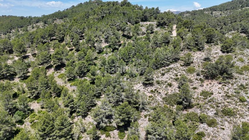Foto e40a569a-b53a-4154-9f53-83e7694a0a2e. Masia a Tivissa