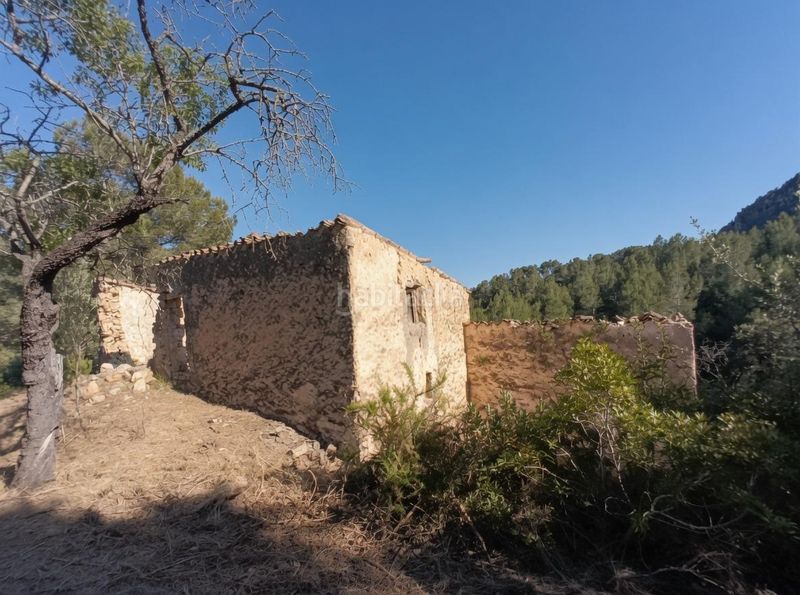 Foto f2db1f4d-38fc-4d9c-a538-1c48b64f1c7b. Masia a Tivissa