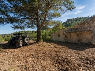 Masia a Tivissa. Casa o proyecto  finca rústica en lametlla de mar