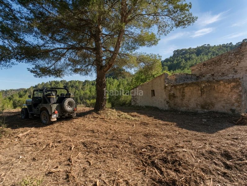 Foto f65d1b19-7a6e-490c-a0a0-c4bd2f113a33. Masia a Tivissa