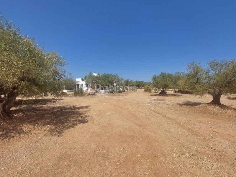 Foto 0c68e887-81f2-42f2-b9e1-ce69a2c52e16. Casa a L´Ametlla de Mar Ametlla de Mar (L´)
