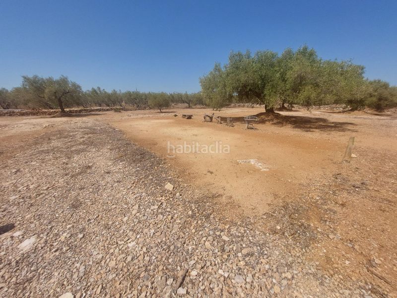 Foto 0fe88aad-a47b-4d4e-85fb-784fd9663033. Casa a L´Ametlla de Mar Ametlla de Mar (L´)