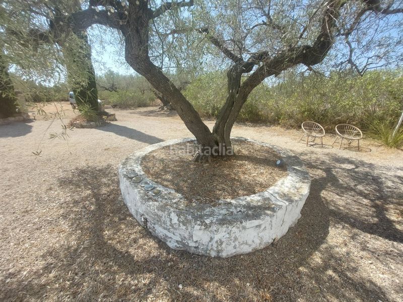 Foto 36218ce2-7260-430b-b5c4-a9d7fa7bbf9c. Casa a L´Ametlla de Mar Ametlla de Mar (L´)