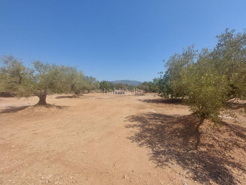 Foto 538c0b6e-73c2-4a6e-8058-3474f4a14aeb. Casa a L´Ametlla de Mar Ametlla de Mar (L´)