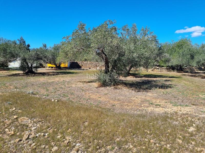 Foto 0d8044a9-ae67-4c68-9401-73d55aa4700f. Finca rústica finca exclusiva naturaleza y playa a 15 minutos en Perelló (El)