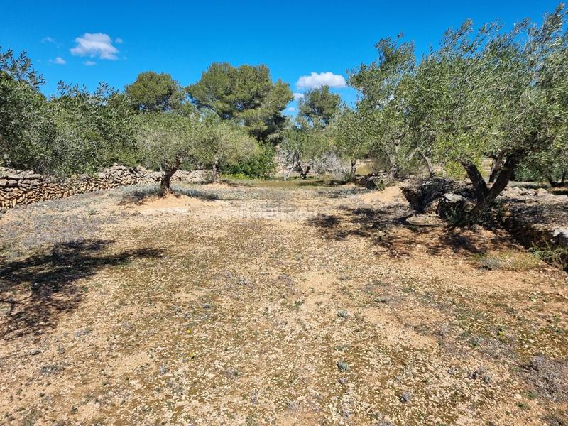 Foto 37ab3543-b9b0-455e-a631-4711ad7d51a8. Finca rústica finca exclusiva naturaleza y playa a 15 minutos en Perelló (El)