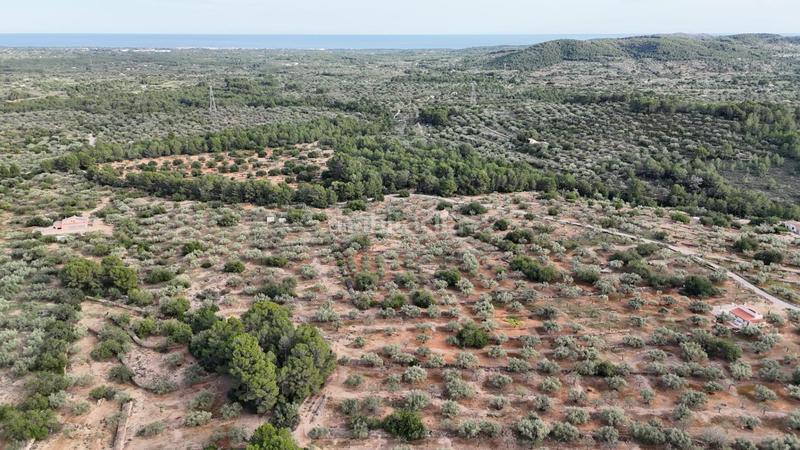 Foto 38c60e67-b0a0-4166-907c-c5114a4fac8b. Finca rústica finca exclusiva naturaleza y playa a 15 minutos en Perelló (El)