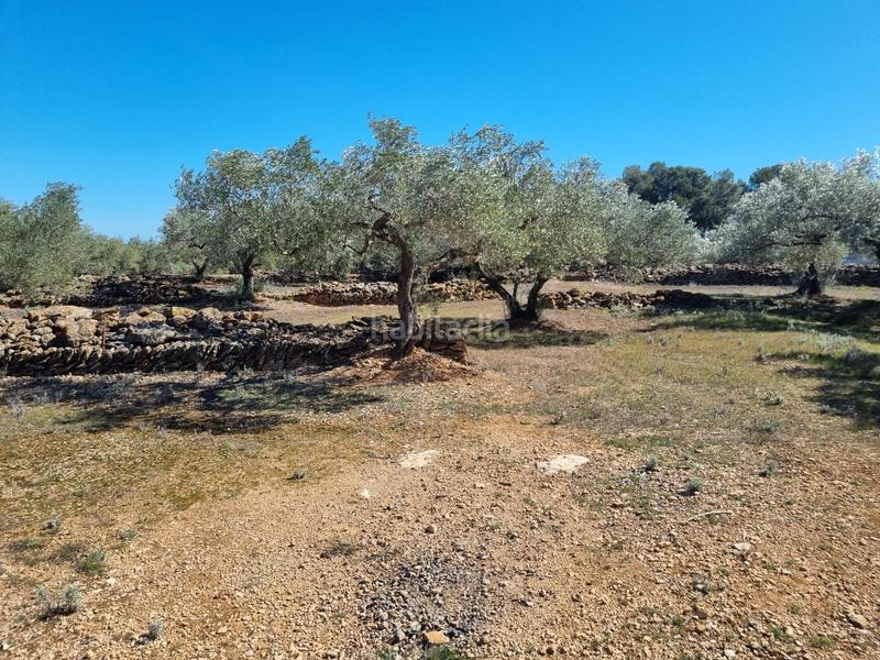 Foto 6b35aa6d-828e-4681-b0ff-b20d4c678c58. Finca rústica finca exclusiva naturaleza y playa a 15 minutos en Perelló (El)