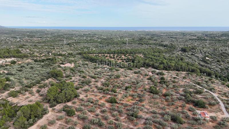 Foto 7ae2279b-e543-4f4b-818f-58280b1d99d2. Finca rústica finca exclusiva naturaleza y playa a 15 minutos en Perelló (El)