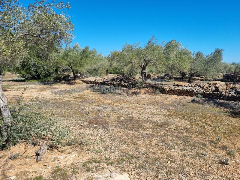 Foto 877ae700-ed8e-41fc-a72e-abd3fd2689cc. Finca rústica finca exclusiva naturaleza y playa a 15 minutos en Perelló (El)