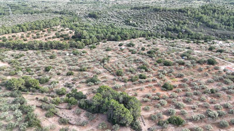 Foto 94ad6985-629d-45a8-aa1b-50c27a0556fe. Finca rústica finca exclusiva naturaleza y playa a 15 minutos en Perelló (El)