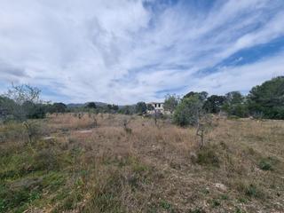 Country house in L´Ametlla de Mar. Finca rústica con construccion de mas de 200m2 para reformar