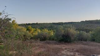 Finca rústica a Perelló (El). Finca rústica en el perello con muchas posibilidades