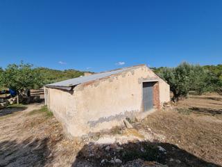 Local Comercial a Tivissa. Tenemos en la zona de tivissa un almacen con muchas posibilidade
