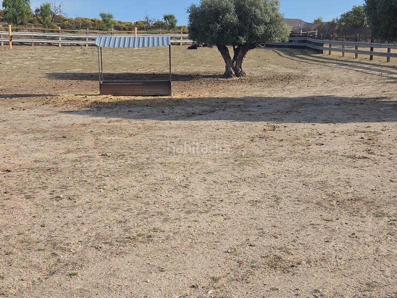 Foto 94f423fa-d64f-42e7-b153-9ed476e23c36. Finca rústica a El Pijorro Navalcarnero