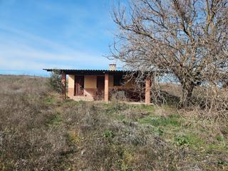 Finca rústica  Carril toledano