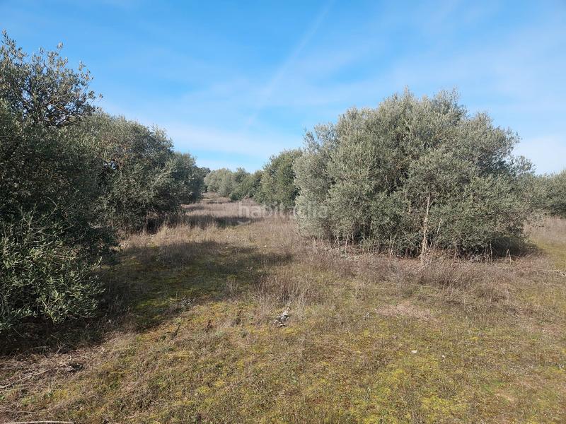 Foto 53c9c482-82ce-4db4-9d8e-cfe82e9ac50c. Propriété dans La Dehesa - El Pinar Navalcarnero