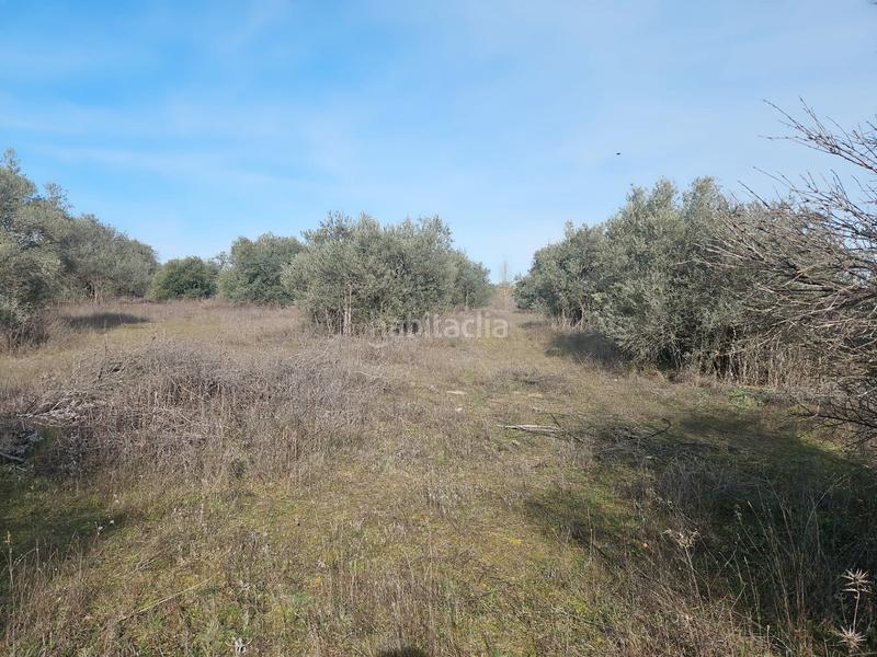 Foto 64797f4d-4de7-4e3a-bd67-4941a5e73b05. Propriété dans La Dehesa - El Pinar Navalcarnero