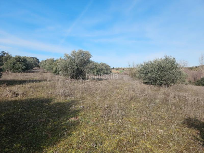 Foto f8859f39-a1fa-4124-b234-77971238c65c. Finca rústica en La Dehesa - El Pinar Navalcarnero