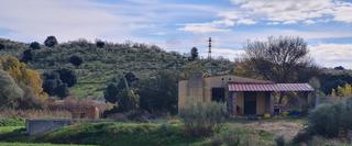 Fondo rustico in La Dehesa - El Pinar