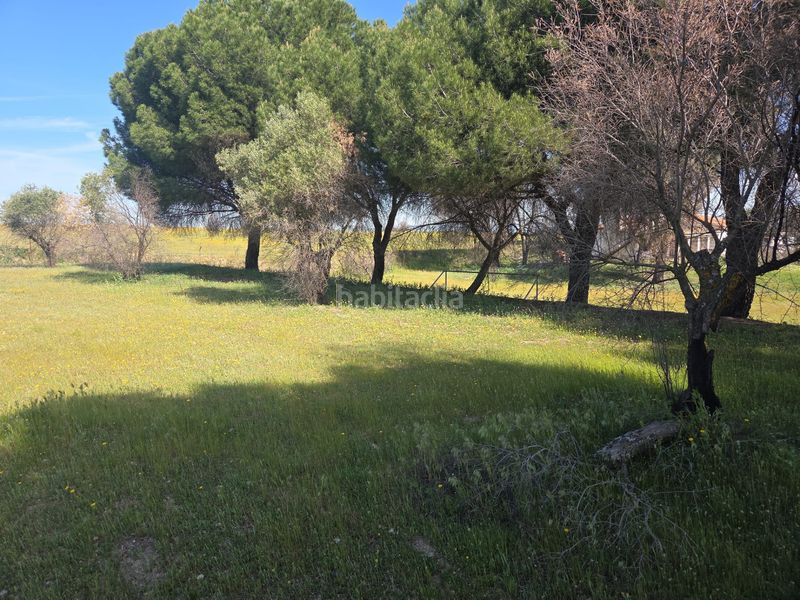 Foto 087b972d-9891-4265-9a8f-9afd64d62ba5. Masia a Urb. Calypo Navalcarnero