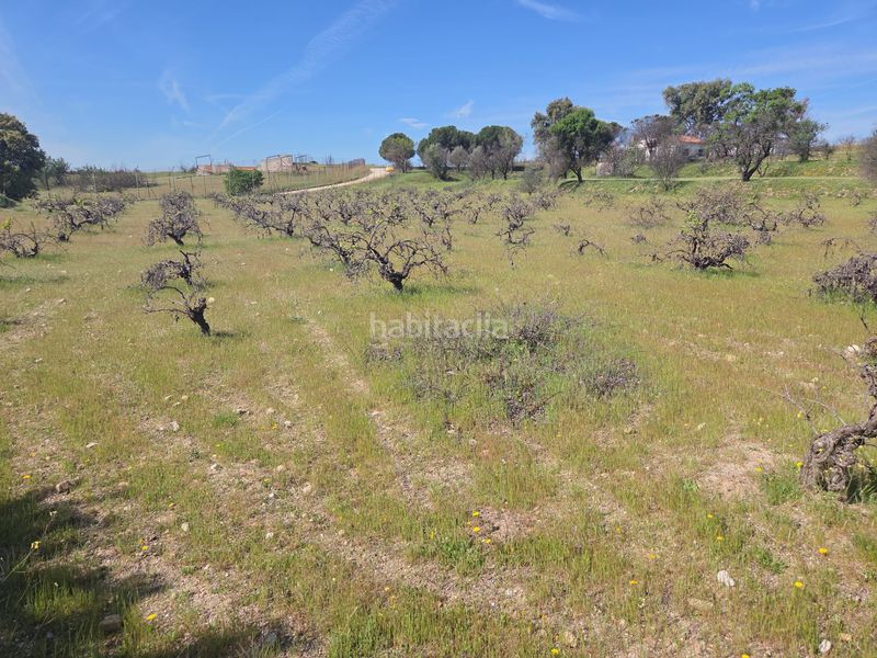 Foto 1da798bb-e33e-4414-8ca6-dc4a96cf9296. Masia a Urb. Calypo Navalcarnero