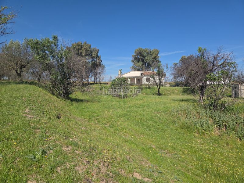 Foto 21d759f2-41f2-48be-8c30-41fb49fb11c3. Masia a Urb. Calypo Navalcarnero