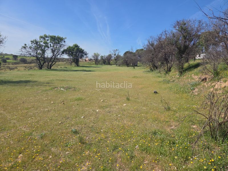 Foto 2b954f28-5746-47ea-bfde-1530129d6262. Masia a Urb. Calypo Navalcarnero