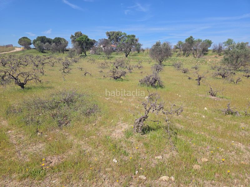 Foto 2d30c000-c77f-4609-bed7-0bb7dd8cbea0. Masia a Urb. Calypo Navalcarnero